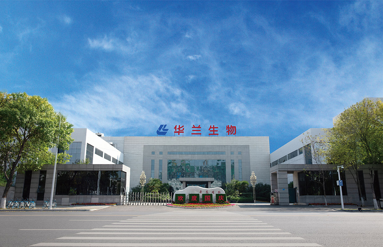 凯发k8官网入口风采